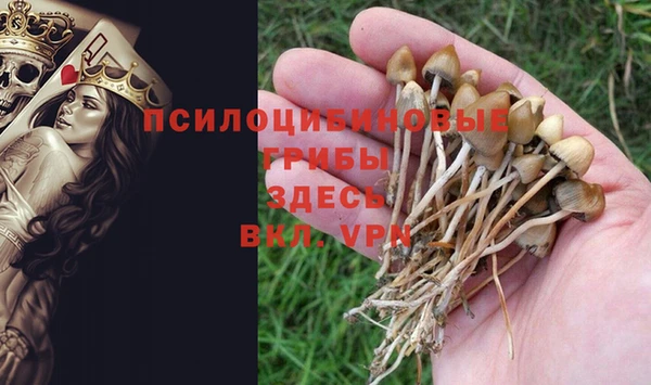 a pvp Кинешма