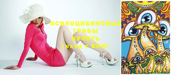 дурь Киреевск