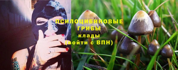 дурь Киреевск