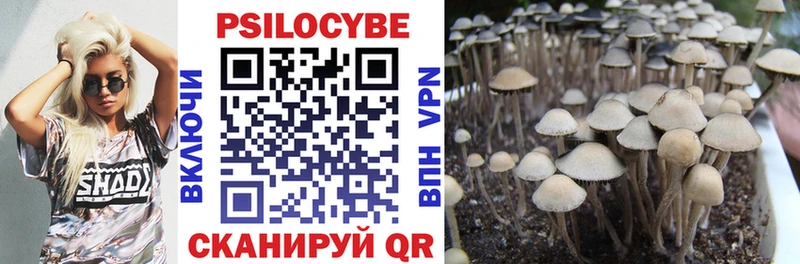 где продают наркотики  Темников  Галлюциногенные грибы Psilocybe 